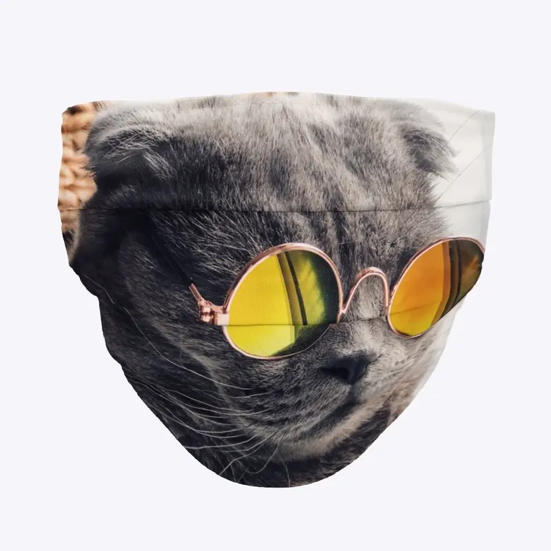 Swagger Cat