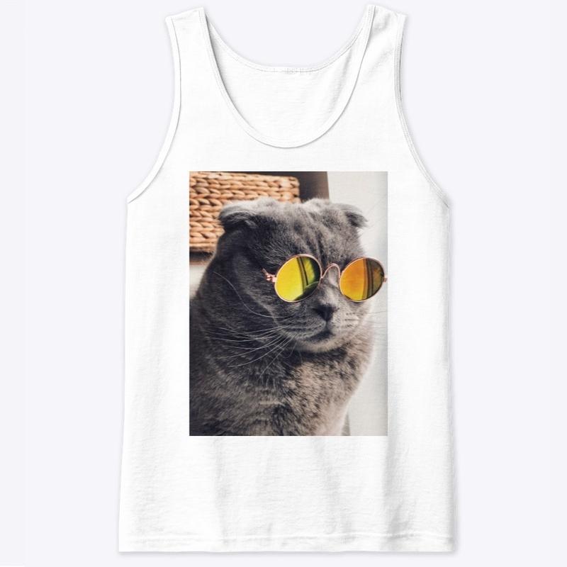 Swagger Cat