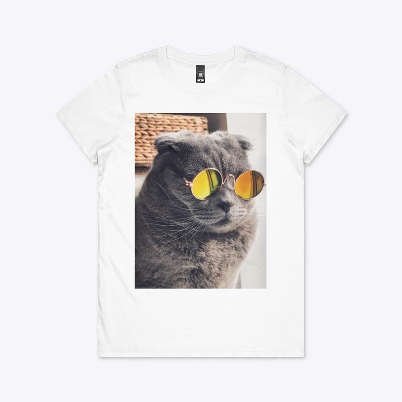 Swagger Cat